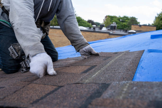 Best Roof Maintenance Services  in Rowland, NC