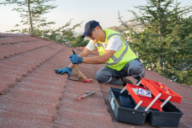 Roof Gutter Cleaning in Rowland, NC