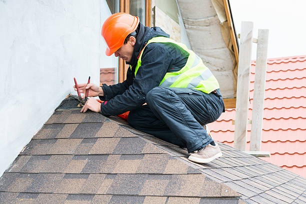 Best Roof Gutter Cleaning  in Rowland, NC